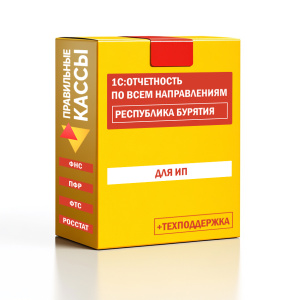 Отчетность_ИП_Республика Бурятия